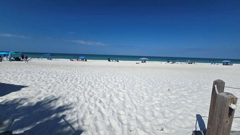 Rent a Canopy or Take in the Full Sun