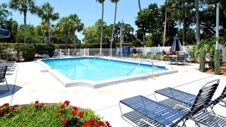 Pool offers Loungers and Tables with Umbrellas