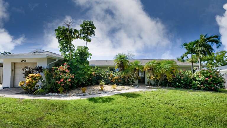 Secluded in Tropical Flora