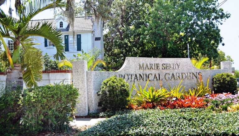 Plan a Day for The Marie Selby Botanical Gardens