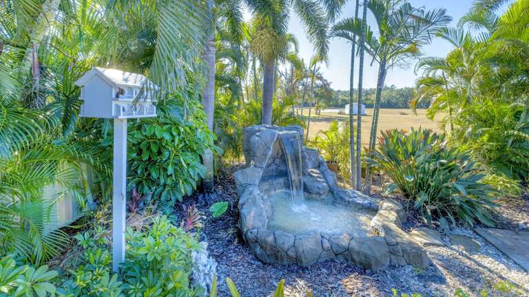 Listen to peaceful water flowing in tropical surroundings