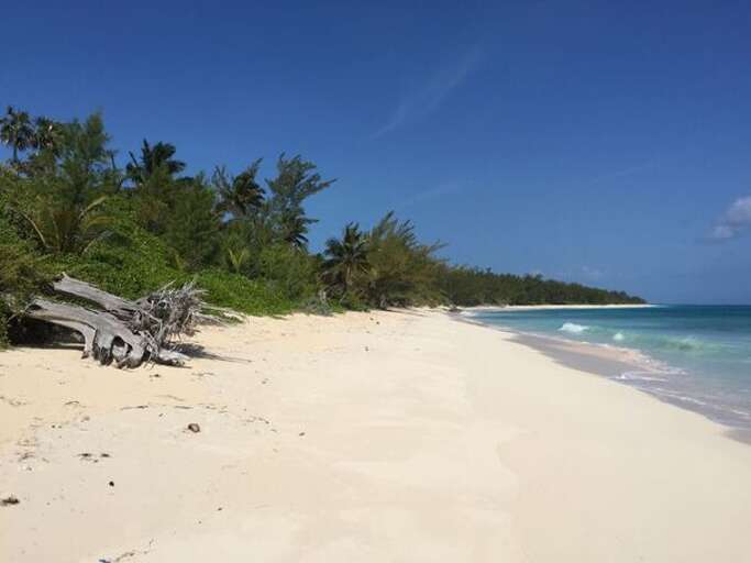 Our beach facing north