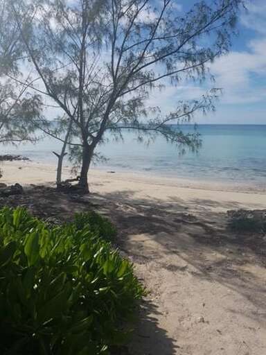 Our beach Our beach