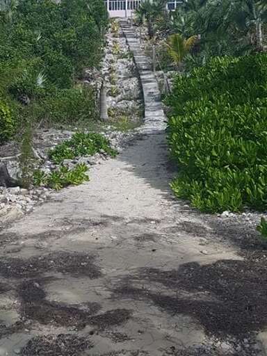 Steps from the beach up to the cottage Steps from the beach up to the cottage