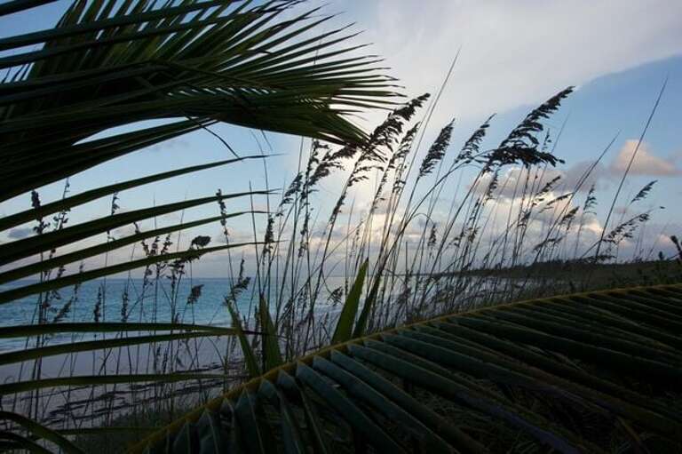 Our beach