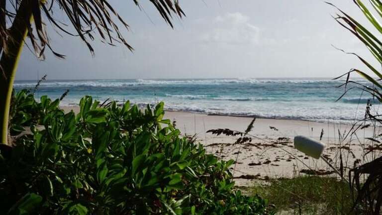 Our beach Our beach