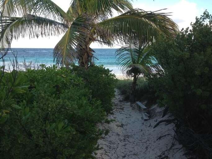Path to beach. Path to beach.
