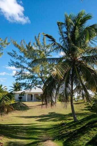 View of house from grounds