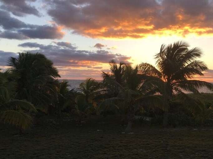 Back yard at sunrise.