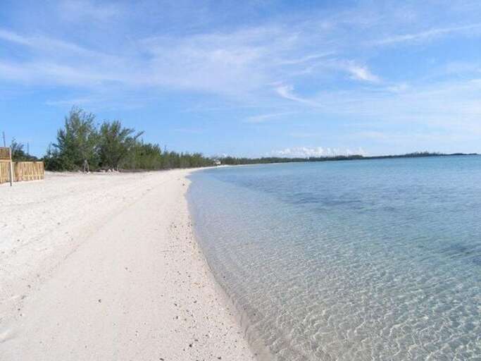 The beach The beach