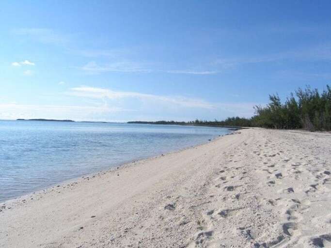 Our beach, looking toward the north Our beach, looking toward the north