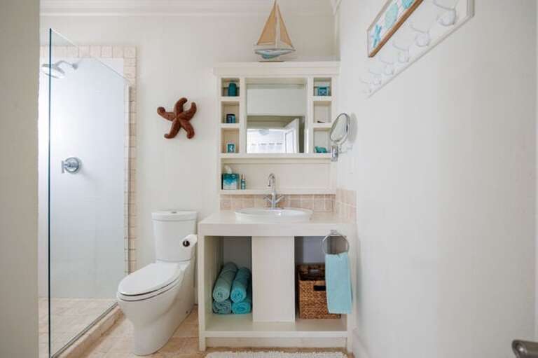 Guest bath with walk-in shower