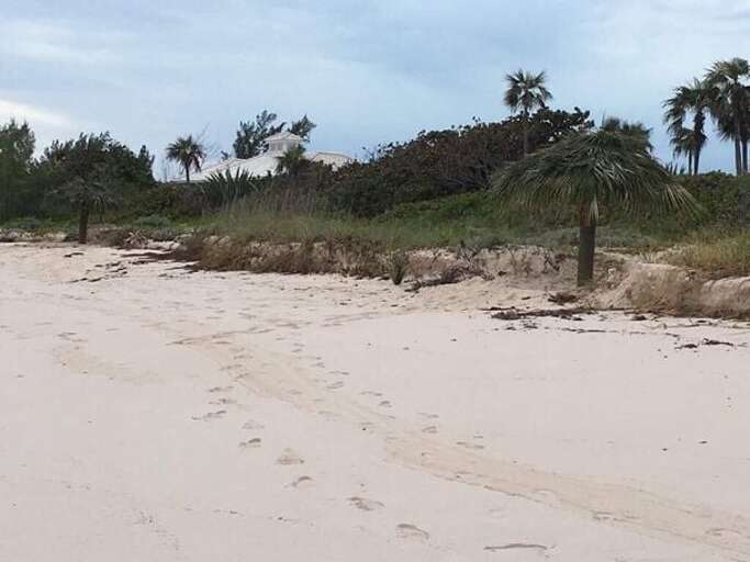 Palapas on our beach