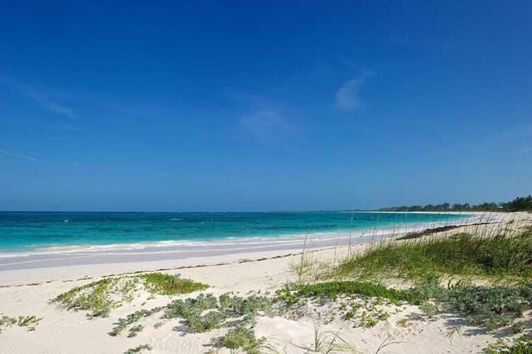 Double Bay's pink sand beach