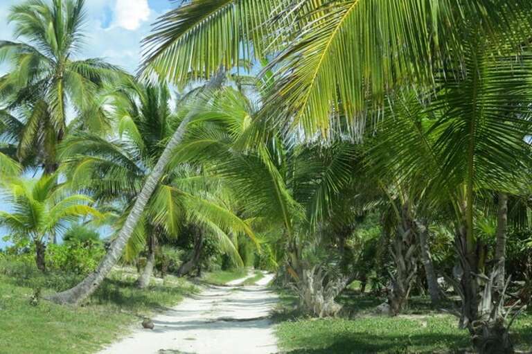 Orchid Cottage on Old Banks Road Orchid Cottage on Old Banks Road