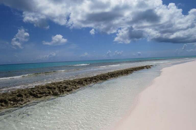 One of the Many Reefs at Low Tide One of the Many Reefs at Low Tide