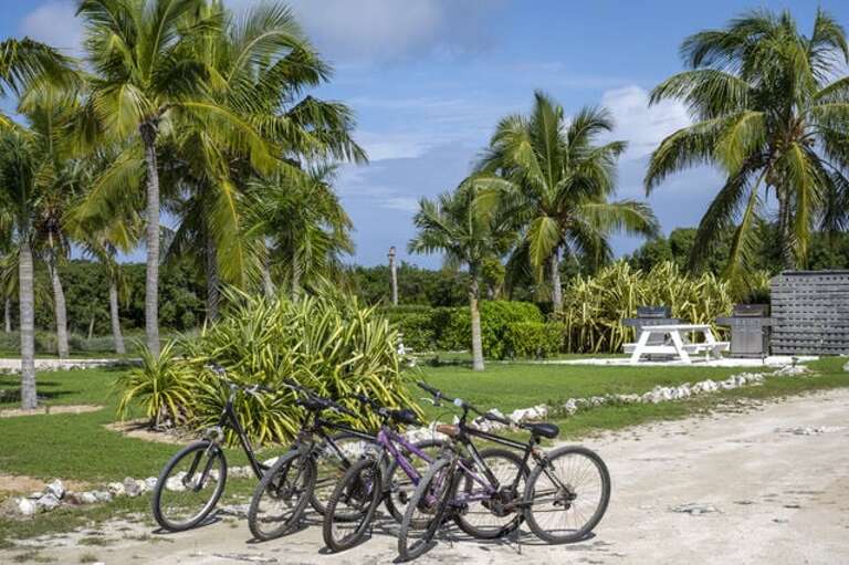 Bikes available at no charge!