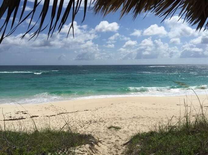 A thatched palapa provides shade on our beach. A thatched palapa provides shade on our beach.