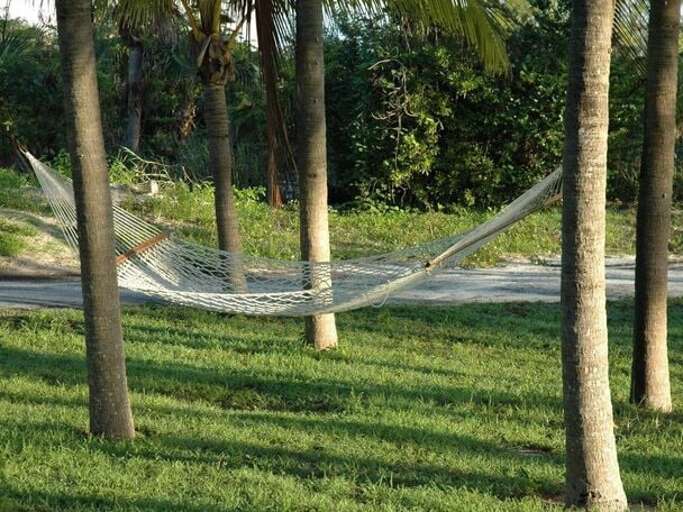 Hammock in Palms