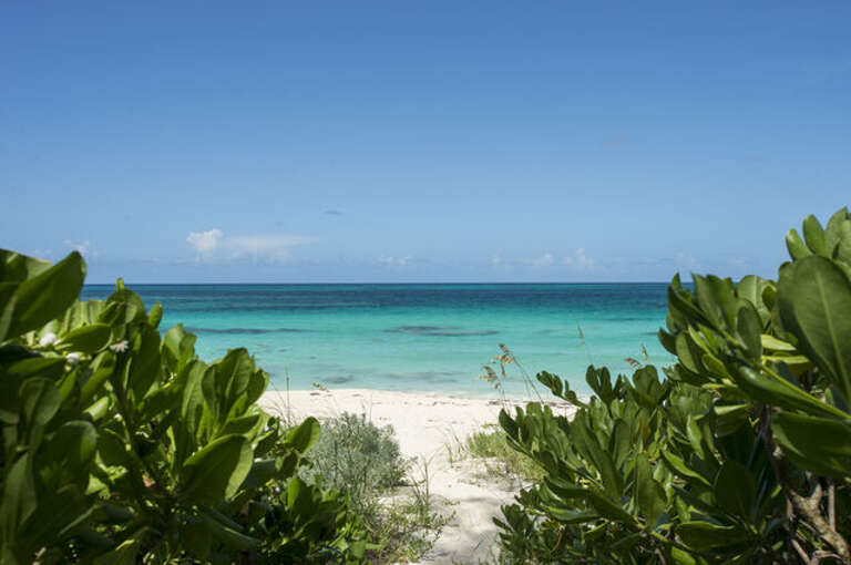 Path to beach