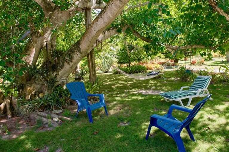 Shaded outdoor area Shaded outdoor area