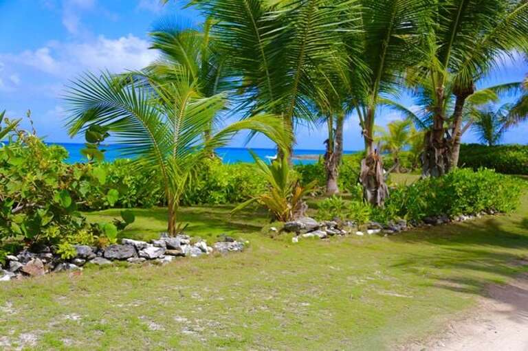 Lush grounds Lush grounds
