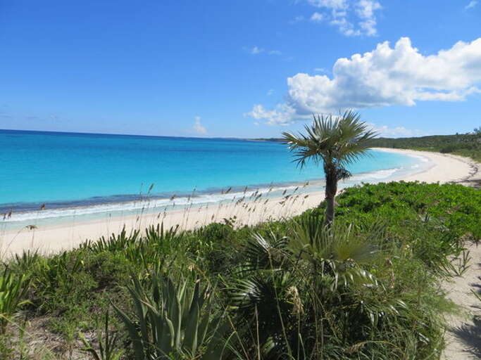 Crescent shaped atlantic ocean beach for a swim, walk, nap or paddle!