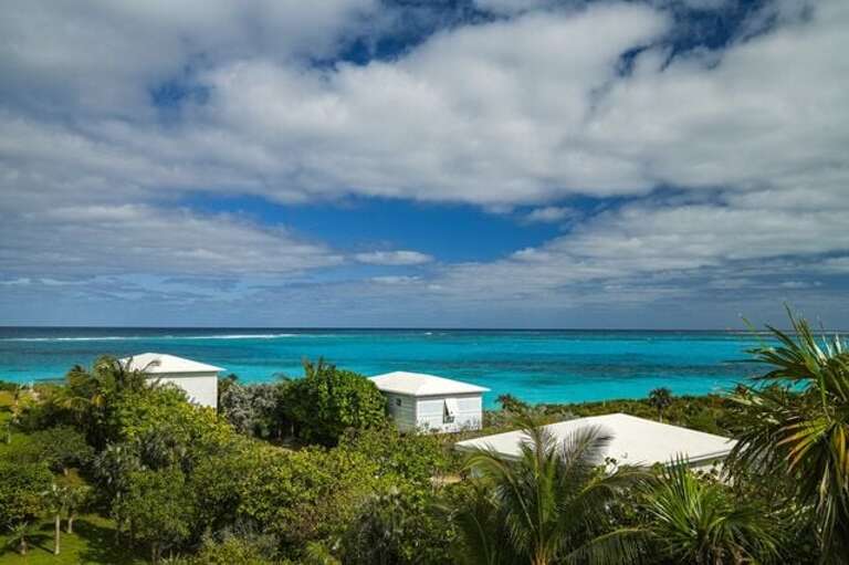 The reef is teaming with beautiful colorful fish.