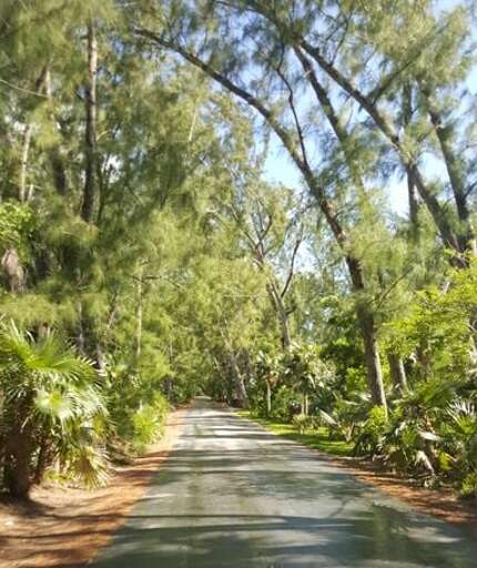 Road on Windermere Island
