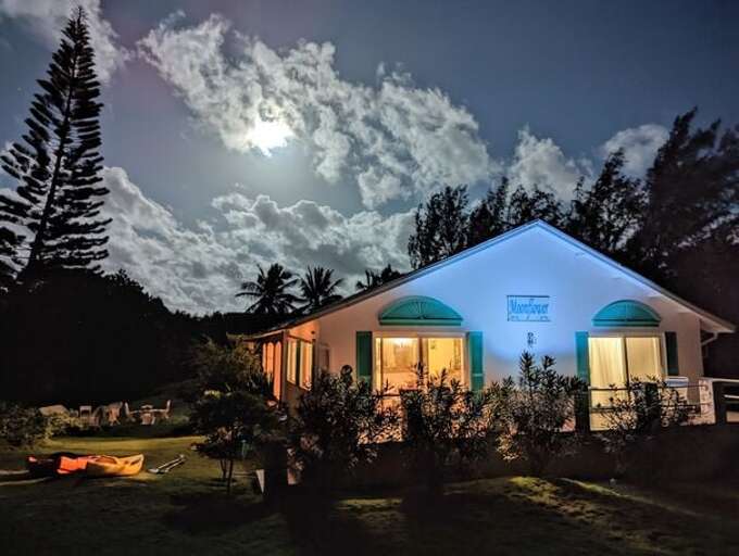 Welcome to Moonflower