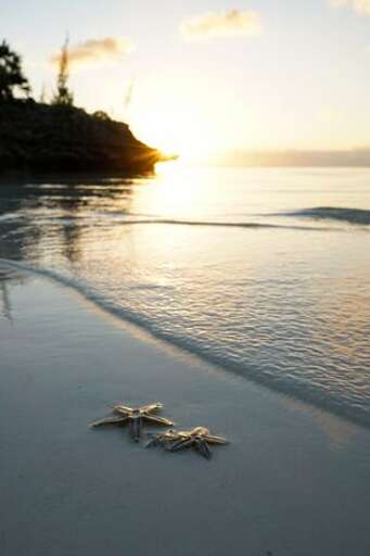 Tranquil Waters of Beautiful Gaulding Cay Beach