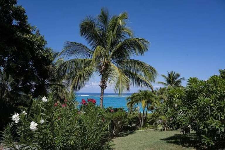 Breathtaking view and tropical grounds. Breathtaking view and tropical grounds.