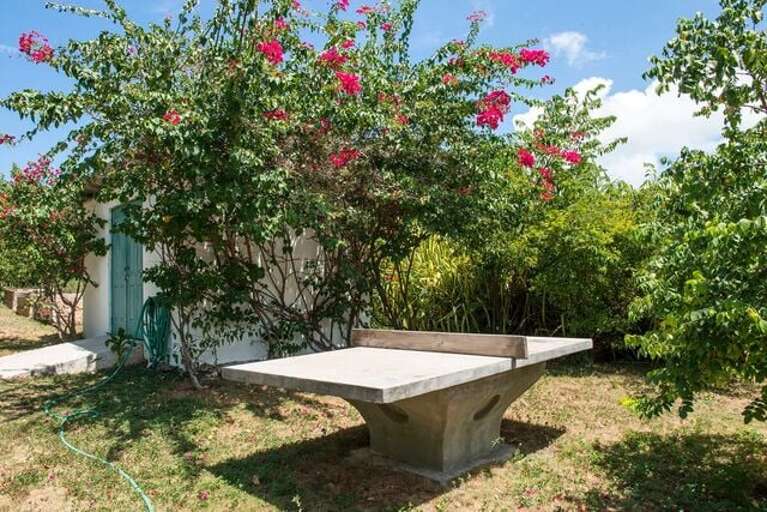 Outdoor ping pong table