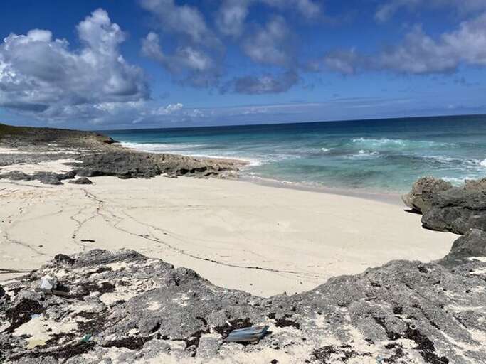 Small and private Come and Go Beach, 100 feet from the house.