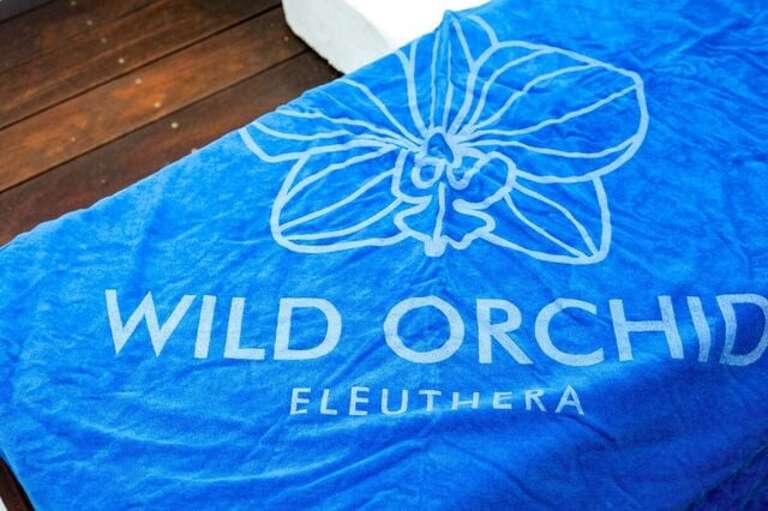 Welcome to wild Orchid!