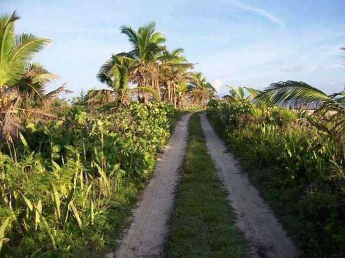 Old Banks Road, Med Point jog path, a run by the sea. 400 Year old donkey trail.