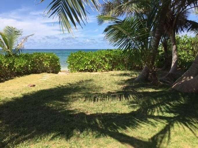 Med Point Side Garden with coconut trees