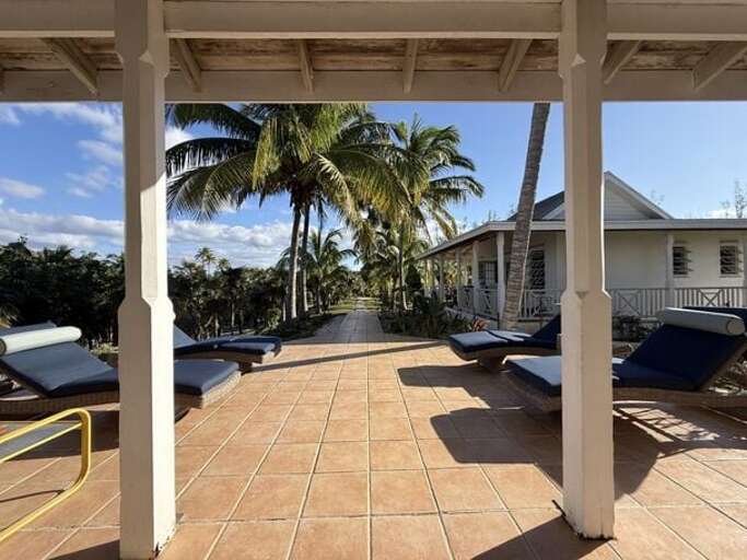 The estate is made up of primarily palmettos, with stately palm trees and other landscaping