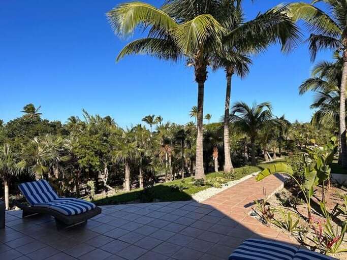 The estate is made up of primarily palmettos, with stately palm trees and other landscaping The estate is made up of primarily palmettos, with stately palm trees and other landscaping