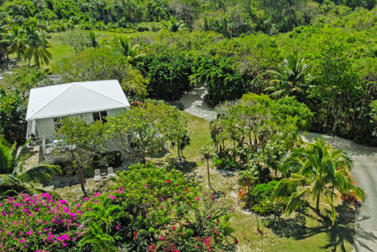Cottage and lush private grounds.
