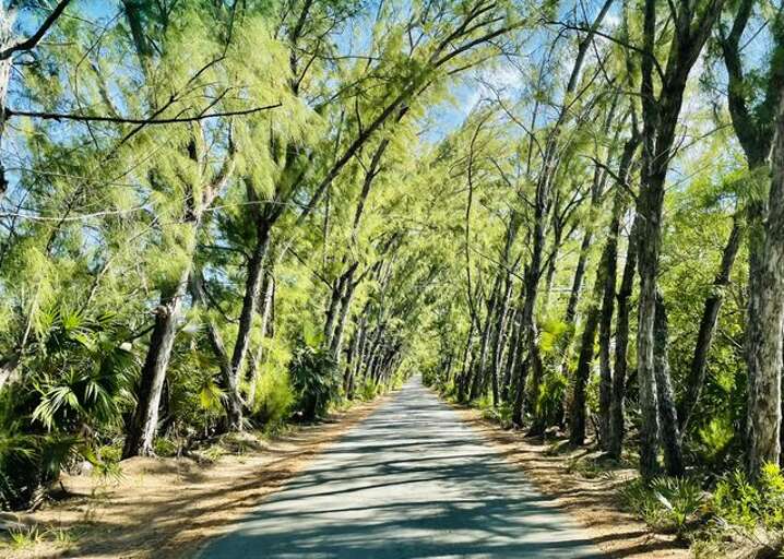 Peaceful, calming Windermere Island