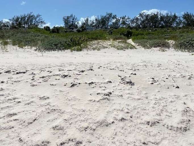 Wave's End, view from beach Wave's End, view from beach