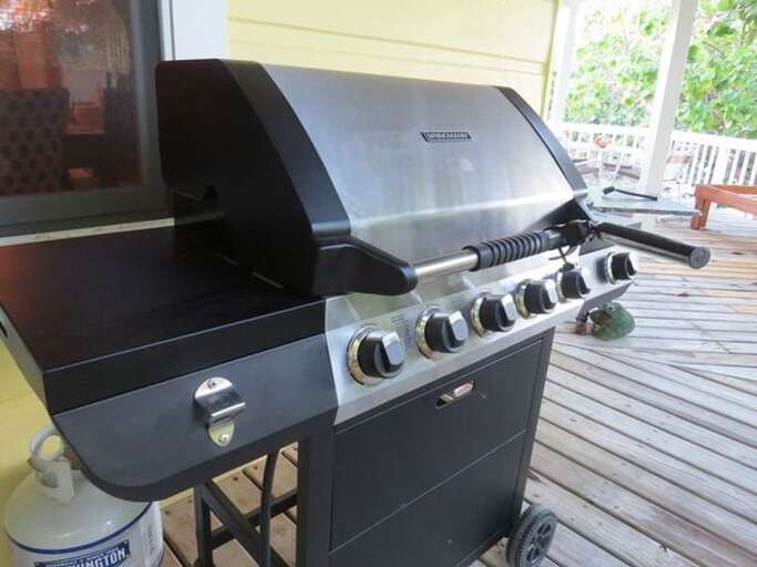 New Gas Grill