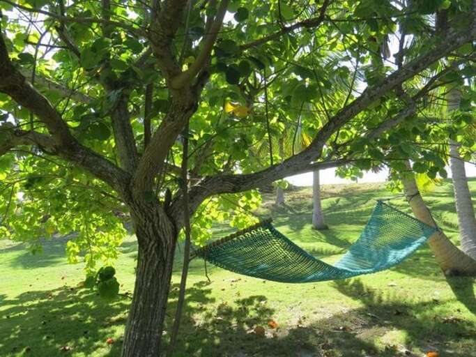 Relax on the Two Person Hammock