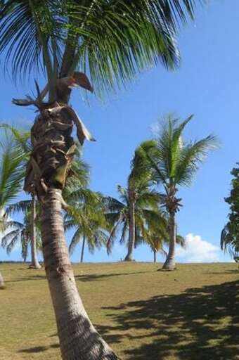 Your View from the Deck