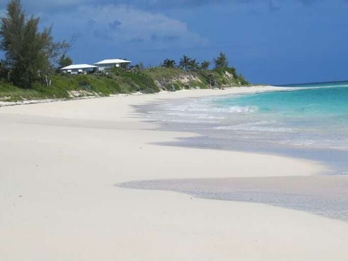 Walk to Pascal's for Happy Hour