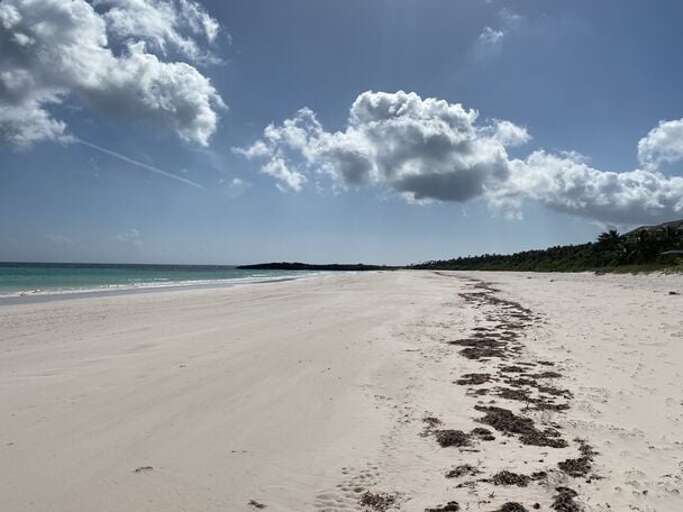 Windermere beach looking to the south