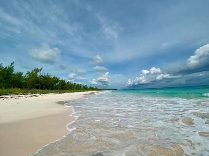 French Leave Beach facing north. A mile-long crescent of pink sand, famously well protected by a barrier reef. French Leave Beach facing north. A mile-long crescent of pink sand, famously well protected by a barrier reef.