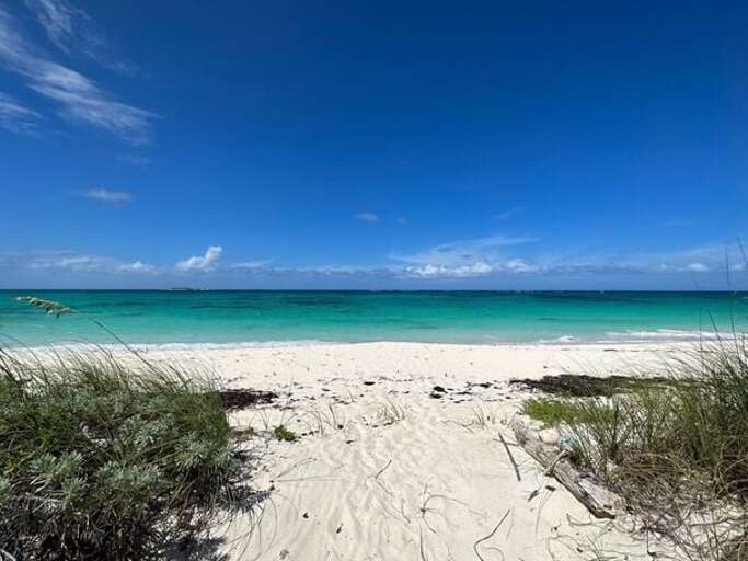 Path to pink sand beach Path to pink sand beach