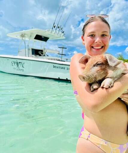 Swimming with the pigs. Swimming with the pigs.